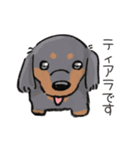 ゆかいな犬猫（個別スタンプ：8）