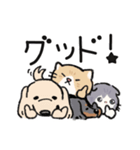 ゆかいな犬猫（個別スタンプ：22）