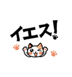 保護猫デカ文字（個別スタンプ：3）