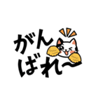 保護猫デカ文字（個別スタンプ：10）