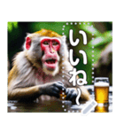 【酒】温泉に入ってビールを飲むサル（個別スタンプ：4）