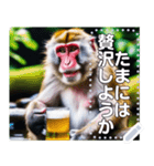 【酒】温泉に入ってビールを飲むサル（個別スタンプ：6）