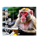 【酒】温泉に入ってビールを飲むサル（個別スタンプ：15）