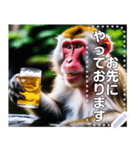 【酒】温泉に入ってビールを飲むサル（個別スタンプ：21）