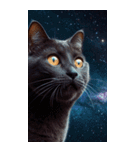 BIG宇宙猫 space cat（個別スタンプ：1）