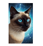 BIG宇宙猫 space cat（個別スタンプ：12）