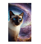 BIG宇宙猫 space cat（個別スタンプ：13）