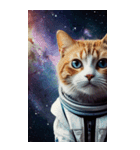 BIG宇宙猫 space cat（個別スタンプ：14）