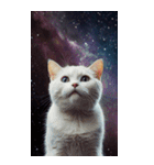 BIG宇宙猫 space cat（個別スタンプ：33）