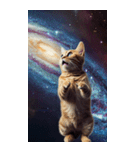 BIG宇宙猫 space cat（個別スタンプ：38）