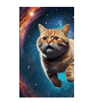 BIG宇宙猫 space cat（個別スタンプ：40）