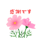 Flower〜会話に花言葉を添えて〜（個別スタンプ：39）