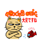 猫のリロ君だよ(シンハラ語と日本語)（個別スタンプ：13）