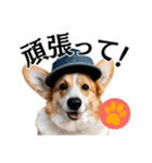 Hat Dog 〜ハットドッグ〜（個別スタンプ：3）