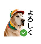 Hat Dog 〜ハットドッグ〜（個別スタンプ：4）