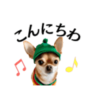 Hat Dog 〜ハットドッグ〜（個別スタンプ：6）