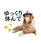 Hat Dog 〜ハットドッグ〜（個別スタンプ：8）