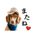 Hat Dog 〜ハットドッグ〜（個別スタンプ：12）