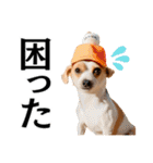 Hat Dog 〜ハットドッグ〜（個別スタンプ：13）