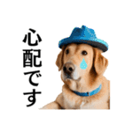 Hat Dog 〜ハットドッグ〜（個別スタンプ：15）