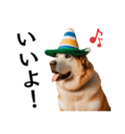 Hat Dog 〜ハットドッグ〜（個別スタンプ：22）