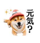 Hat Dog 〜ハットドッグ〜（個別スタンプ：35）