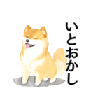 武士に憧れる柴犬（個別スタンプ：2）