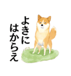 武士に憧れる柴犬（個別スタンプ：3）