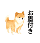 武士に憧れる柴犬（個別スタンプ：8）