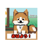 柴犬スタンプ36（個別スタンプ：1）