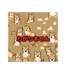 柴犬スタンプ36（個別スタンプ：5）