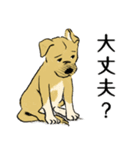 困り顔の保護犬福の日常「つまぼく」編（個別スタンプ：2）