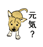 困り顔の保護犬福の日常「つまぼく」編（個別スタンプ：16）