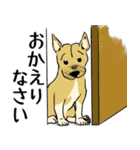 困り顔の保護犬福の日常「つまぼく」編（個別スタンプ：18）