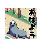 ドット絵風なアザラシ（個別スタンプ：1）