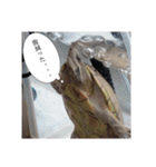 クラブメンバー2（個別スタンプ：9）
