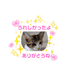 猫の福＆来 仲良しスタンプ（個別スタンプ：26）