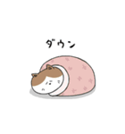 はゆねこ（個別スタンプ：19）