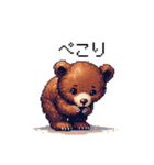 ドット絵 子グマ 日常会話 40種 小熊（個別スタンプ：10）