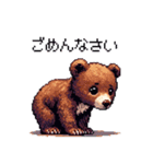 ドット絵 子グマ 日常会話 40種 小熊（個別スタンプ：15）