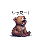 ドット絵 子グマ 日常会話 40種 小熊（個別スタンプ：27）