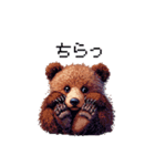 ドット絵 子グマ 日常会話 40種 小熊（個別スタンプ：31）