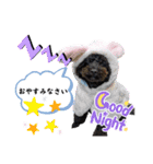 仕事でも使えるスタンプ♡星夢心音（個別スタンプ：4）