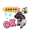 仕事でも使えるスタンプ♡星夢心音（個別スタンプ：11）