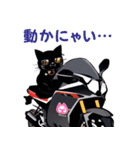 ネコライダーが通りますよ！（個別スタンプ：4）