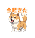 sonson柴犬の一言（個別スタンプ：5）