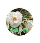 冬景色1（個別スタンプ：7）