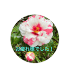 冬景色1（個別スタンプ：8）