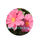 冬景色1（個別スタンプ：11）