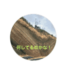 冬景色1（個別スタンプ：16）